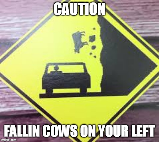 Look out | CAUTION; FALLIN COWS ON YOUR LEFT | image tagged in none | made w/ Imgflip meme maker