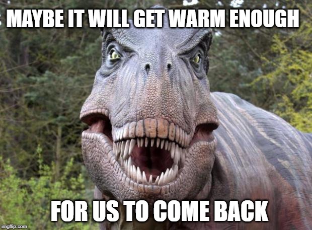 Trexxxx | FOR US TO COME BACK MAYBE IT WILL GET WARM ENOUGH | image tagged in trexxxx | made w/ Imgflip meme maker