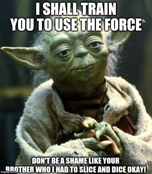 Star Wars Yoda Meme | I SHALL TRAIN YOU TO USE THE FORCE; DON'T BE A SHAME LIKE YOUR BROTHER WHO I HAD TO SLICE AND DICE OKAY! | image tagged in memes,star wars yoda | made w/ Imgflip meme maker