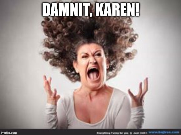 Crazy woman | DAMNIT, KAREN! | image tagged in crazy woman | made w/ Imgflip meme maker