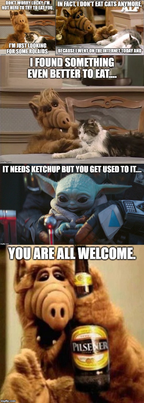 The end of baby yoda | image tagged in baby yoda,alf | made w/ Imgflip meme maker