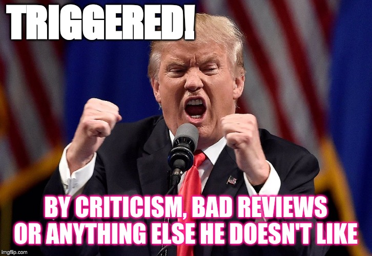 Trump angry | TRIGGERED! BY CRITICISM, BAD REVIEWS OR ANYTHING ELSE HE DOESN'T LIKE | image tagged in trump angry | made w/ Imgflip meme maker