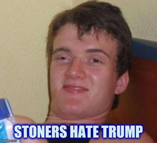 stoned guy | STONERS HATE TRUMP | image tagged in stoned guy | made w/ Imgflip meme maker