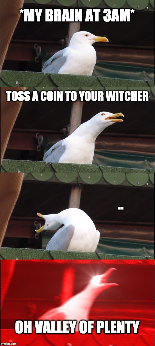 Inhaling Seagull | *MY BRAIN AT 3AM*; TOSS A COIN TO YOUR WITCHER; .. OH VALLEY OF PLENTY | image tagged in memes,inhaling seagull | made w/ Imgflip meme maker