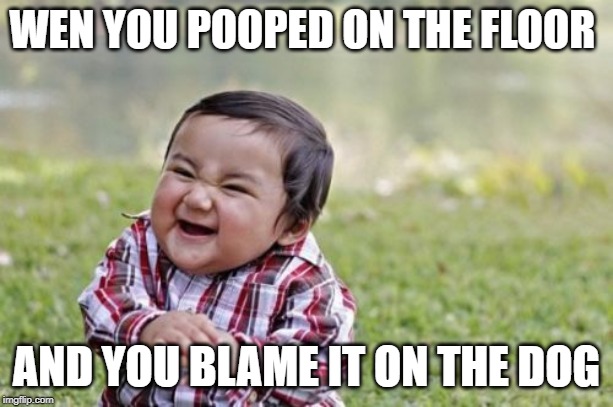 Evil Toddler | WEN YOU POOPED ON THE FLOOR; AND YOU BLAME IT ON THE DOG | image tagged in memes,evil toddler | made w/ Imgflip meme maker