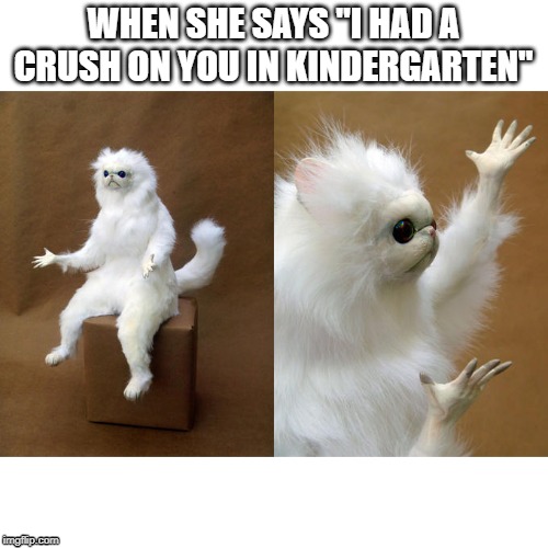 Persian Cat Room Guardian Meme | WHEN SHE SAYS "I HAD A CRUSH ON YOU IN KINDERGARTEN" | image tagged in memes,persian cat room guardian | made w/ Imgflip meme maker