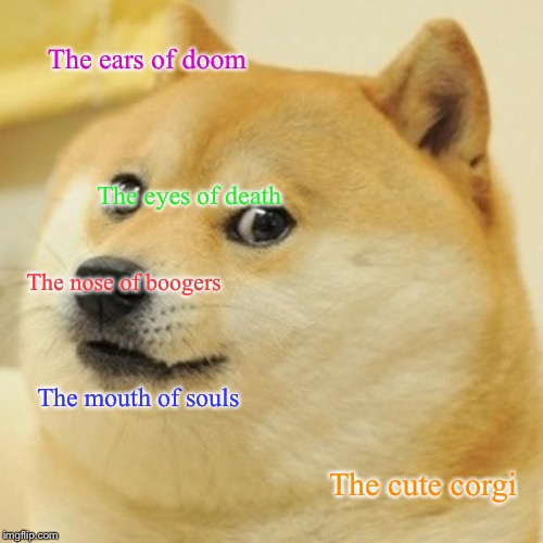 Doge Meme | The ears of doom; The eyes of death; The nose of boogers; The mouth of souls; The cute corgi | image tagged in memes,doge | made w/ Imgflip meme maker