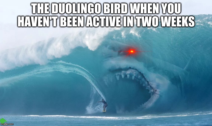 THE DUOLINGO BIRD WHEN YOU HAVEN'T BEEN ACTIVE IN TWO WEEKS | made w/ Imgflip meme maker
