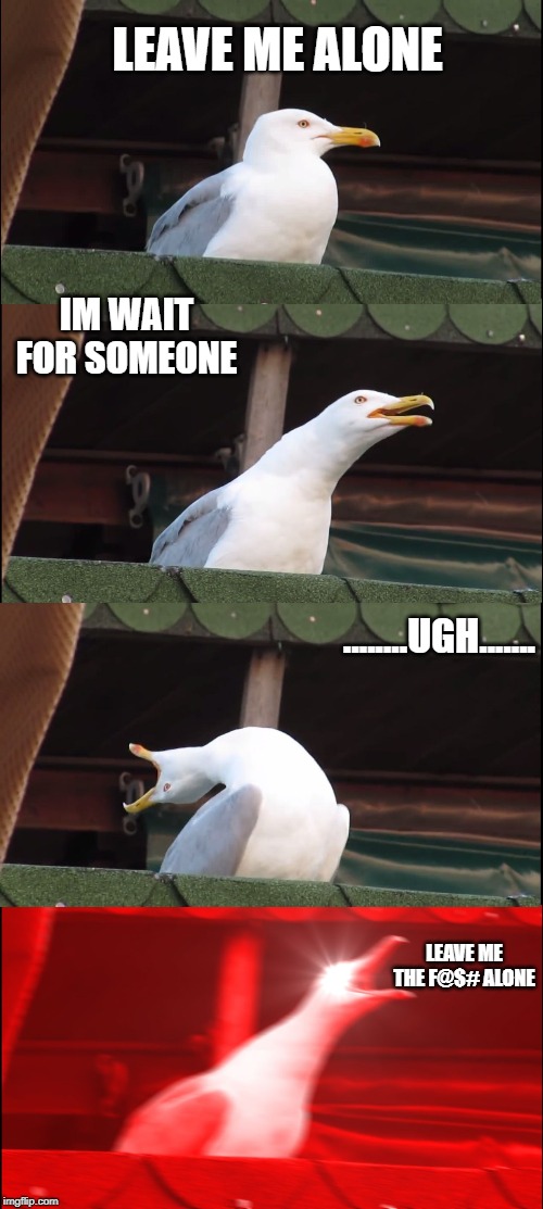 Inhaling Seagull Meme | LEAVE ME ALONE; IM WAIT FOR SOMEONE; ........UGH....... LEAVE ME THE F@$# ALONE | image tagged in memes,inhaling seagull | made w/ Imgflip meme maker