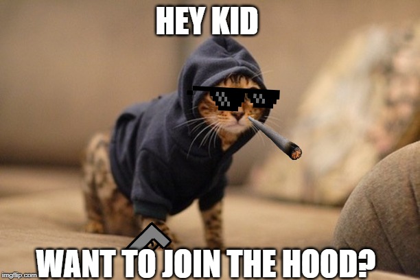 Hoody Cat | HEY KID; WANT TO JOIN THE HOOD? | image tagged in memes,hoody cat | made w/ Imgflip meme maker