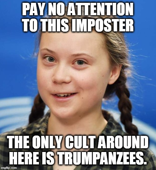 Greta Thunberg | PAY NO ATTENTION TO THIS IMPOSTER THE ONLY CULT AROUND HERE IS TRUMPANZEES. | image tagged in greta thunberg | made w/ Imgflip meme maker