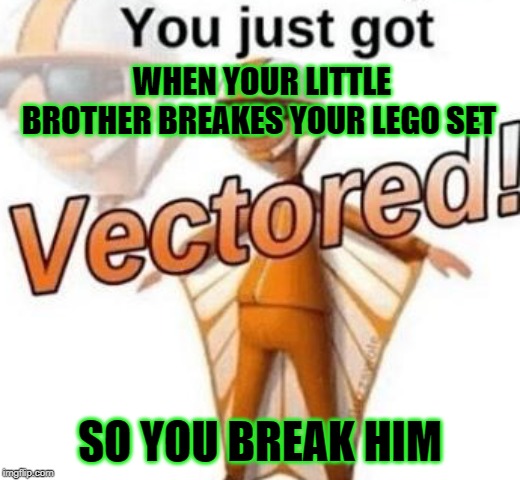 You just got vectored | WHEN YOUR LITTLE BROTHER BREAKES YOUR LEGO SET; SO YOU BREAK HIM | image tagged in you just got vectored | made w/ Imgflip meme maker
