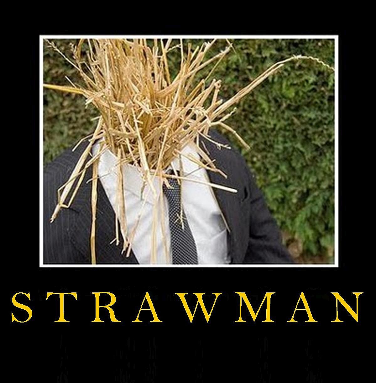 Straw Man Argument - nobody has ever said that Blank Meme Template