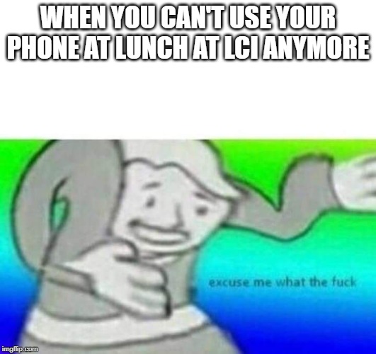 exuse me why thy f*** | WHEN YOU CAN'T USE YOUR PHONE AT LUNCH AT LCI ANYMORE | image tagged in fallout what thy fck | made w/ Imgflip meme maker