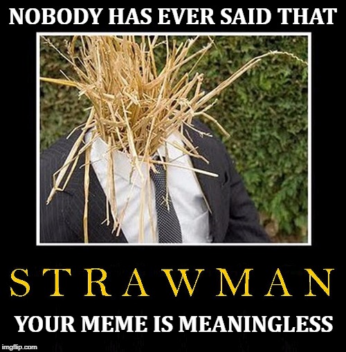 Straw man argument - your meme is meaningless Blank Meme Template