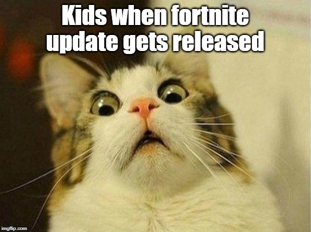 Scared Cat Meme | Kids when fortnite update gets released | image tagged in memes,scared cat | made w/ Imgflip meme maker