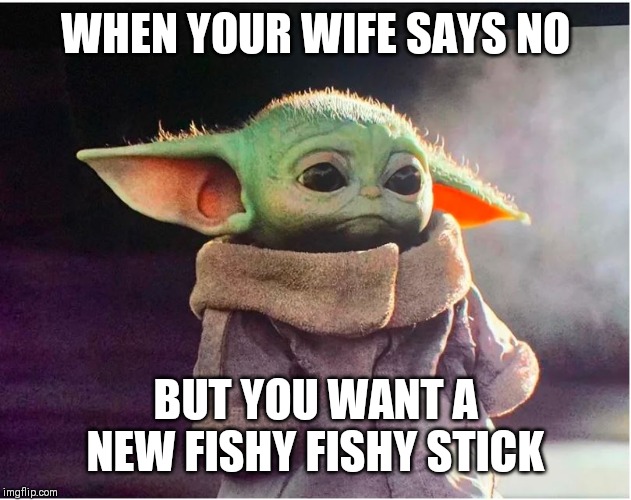 Sad Baby Yoda | WHEN YOUR WIFE SAYS NO; BUT YOU WANT A NEW FISHY FISHY STICK | image tagged in sad baby yoda | made w/ Imgflip meme maker