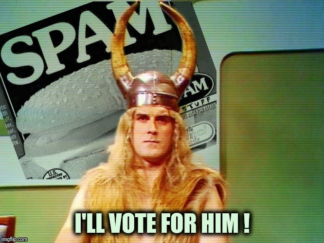 Spam , spam , spam . . . | I'LL VOTE FOR HIM ! | image tagged in spam  spam  spam | made w/ Imgflip meme maker