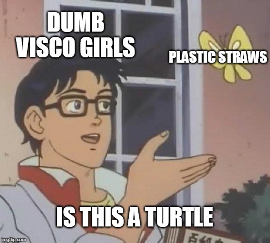 Is This A Pigeon | DUMB VISCO GIRLS; PLASTIC STRAWS; IS THIS A TURTLE | image tagged in memes,is this a pigeon | made w/ Imgflip meme maker