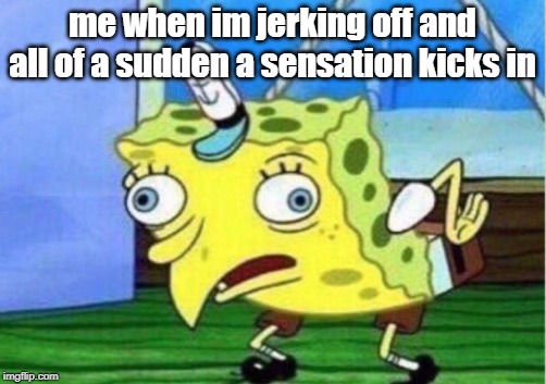 Mocking Spongebob | me when im jerking off and all of a sudden a sensation kicks in | image tagged in memes,mocking spongebob | made w/ Imgflip meme maker