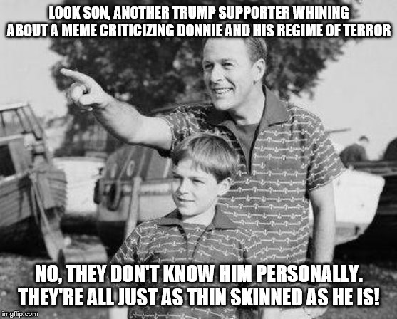 Look Son | LOOK SON, ANOTHER TRUMP SUPPORTER WHINING ABOUT A MEME CRITICIZING DONNIE AND HIS REGIME OF TERROR; NO, THEY DON'T KNOW HIM PERSONALLY. THEY'RE ALL JUST AS THIN SKINNED AS HE IS! | image tagged in memes,look son | made w/ Imgflip meme maker