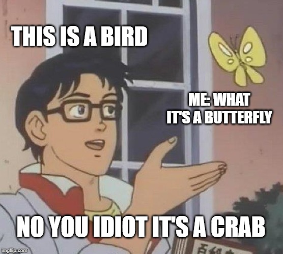 Is This A Pigeon Meme | THIS IS A BIRD; ME: WHAT IT'S A BUTTERFLY; NO YOU IDIOT IT'S A CRAB | image tagged in memes,is this a pigeon | made w/ Imgflip meme maker