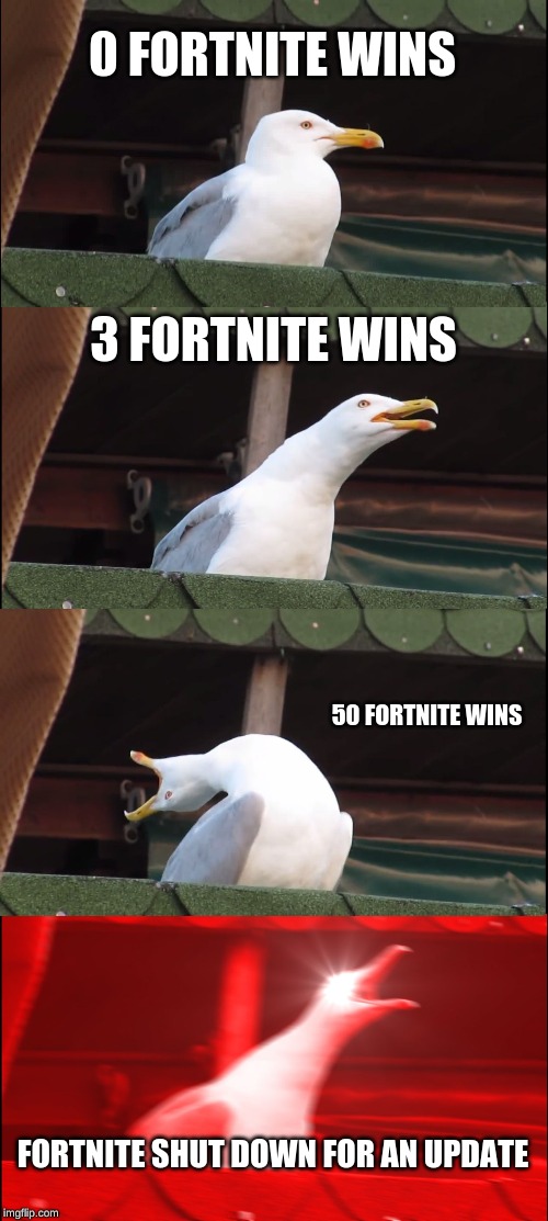 Inhaling Seagull | 0 FORTNITE WINS; 3 FORTNITE WINS; 50 FORTNITE WINS; FORTNITE SHUT DOWN FOR AN UPDATE | image tagged in memes,inhaling seagull | made w/ Imgflip meme maker