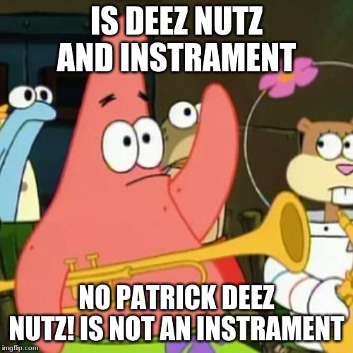 No Patrick Meme | IS DEEZ NUTZ AND INSTRAMENT; NO PATRICK DEEZ NUTZ! IS NOT AN INSTRAMENT | image tagged in memes,no patrick | made w/ Imgflip meme maker