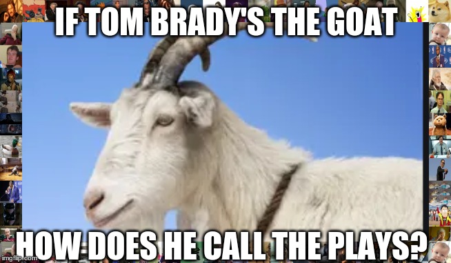 IF TOM BRADY'S THE GOAT; HOW DOES HE CALL THE PLAYS? | image tagged in patriots,tom brady | made w/ Imgflip meme maker