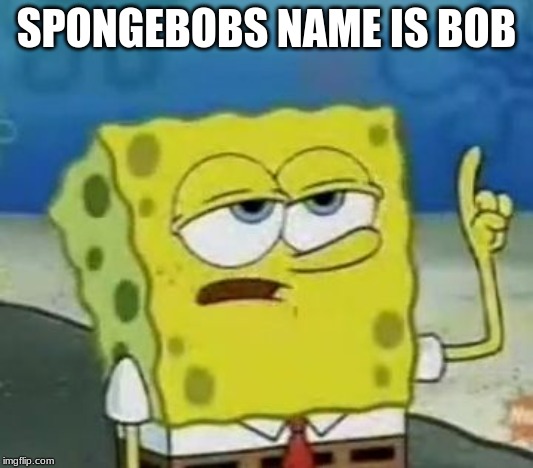 I'll Have You Know Spongebob | SPONGEBOBS NAME IS BOB | image tagged in memes,ill have you know spongebob | made w/ Imgflip meme maker