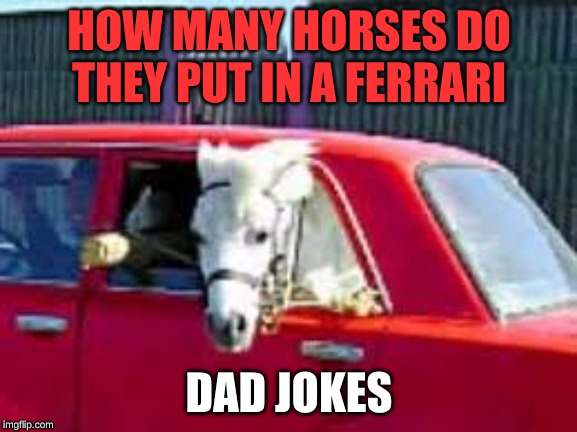 horse in car |  HOW MANY HORSES DO THEY PUT IN A FERRARI; DAD JOKES | image tagged in the most interesting man in the world | made w/ Imgflip meme maker