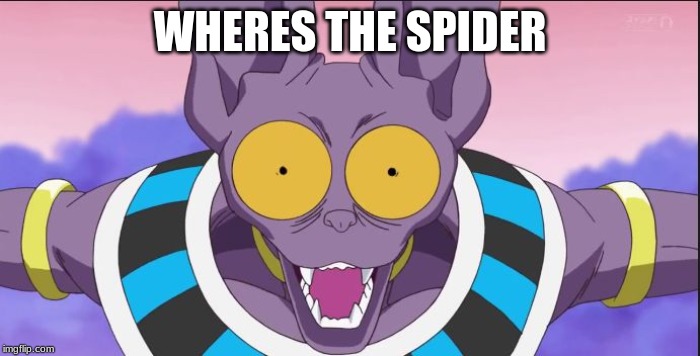 beerus | WHERES THE SPIDER | image tagged in beerus | made w/ Imgflip meme maker