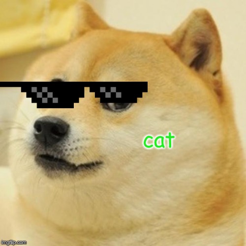 Doge | cat | image tagged in memes,doge | made w/ Imgflip meme maker
