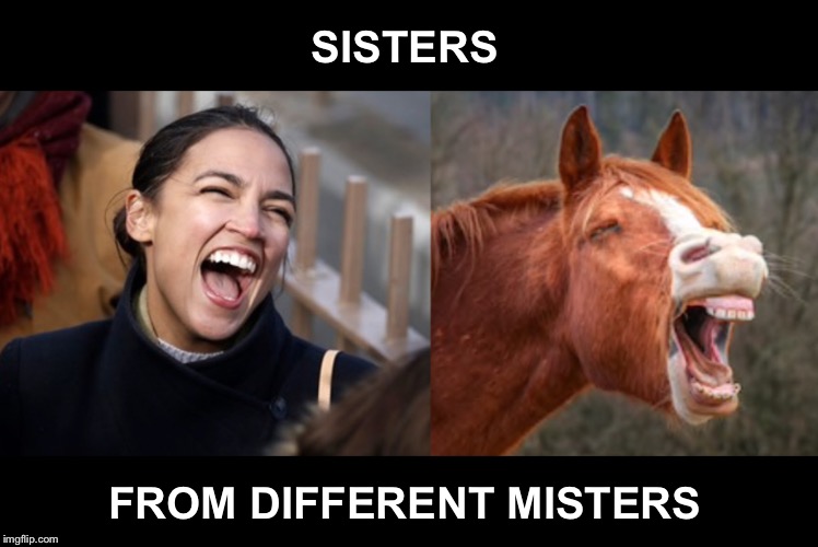 One lives on a farm...the other tries to give away the farm | SISTERS; FROM DIFFERENT MISTERS | image tagged in aoc horse | made w/ Imgflip meme maker