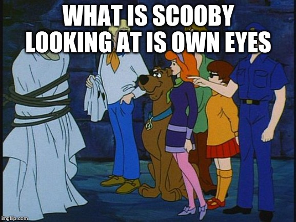 Scooby Doo Meddling Kids | WHAT IS SCOOBY LOOKING AT IS OWN EYES | image tagged in scooby doo meddling kids | made w/ Imgflip meme maker