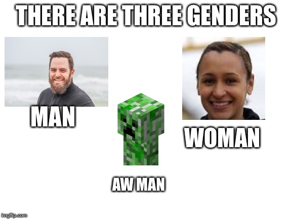Blank White Template | THERE ARE THREE GENDERS; MAN; WOMAN; AW MAN | image tagged in blank white template | made w/ Imgflip meme maker