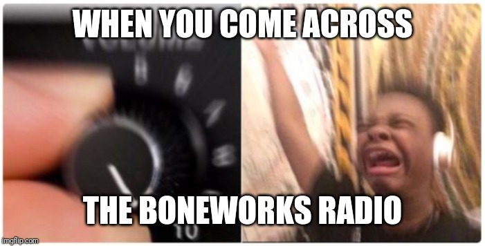 Turn Up the Volume Horizontal | WHEN YOU COME ACROSS; THE BONEWORKS RADIO | image tagged in turn up the volume horizontal | made w/ Imgflip meme maker