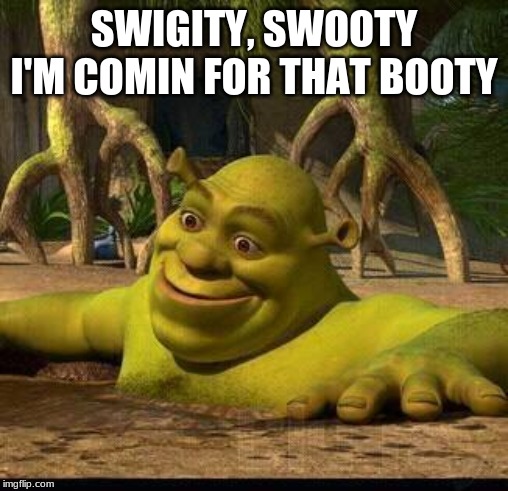 shreck | SWIGITY, SWOOTY I'M COMIN FOR THAT BOOTY | image tagged in shreck | made w/ Imgflip meme maker