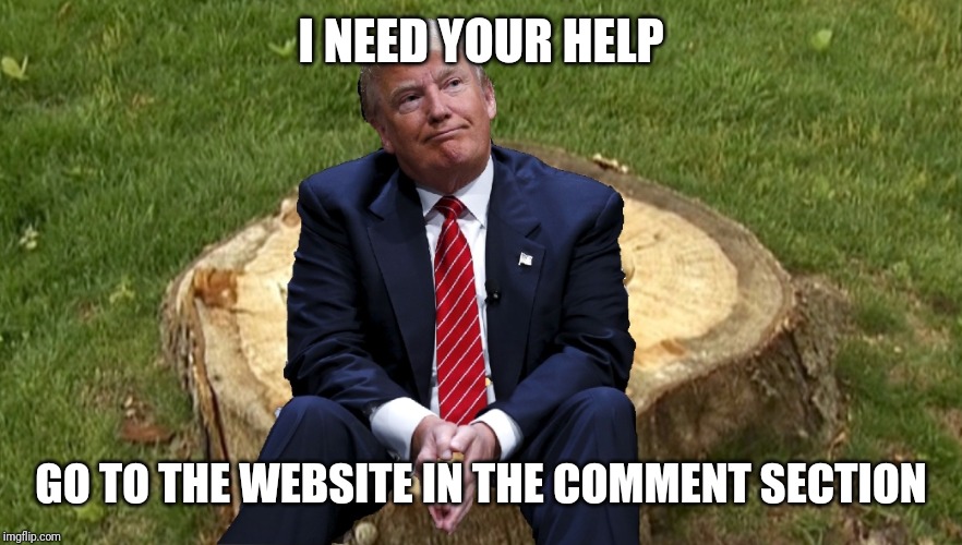 Trump on a stump | I NEED YOUR HELP; GO TO THE WEBSITE IN THE COMMENT SECTION | image tagged in trump on a stump | made w/ Imgflip meme maker
