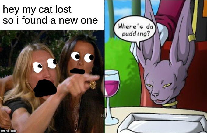 hey my cat lost so i found a new one | made w/ Imgflip meme maker
