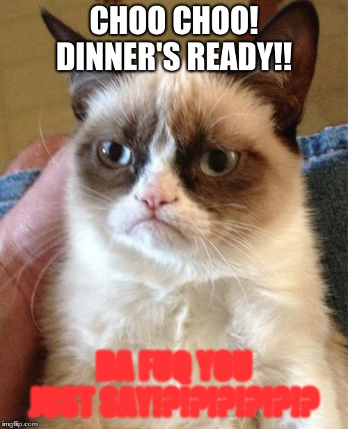 DInner | CHOO CHOO! DINNER'S READY!! DA FUQ YOU JUST SAY!?!?!?!?!?!? | image tagged in memes,grumpy cat | made w/ Imgflip meme maker