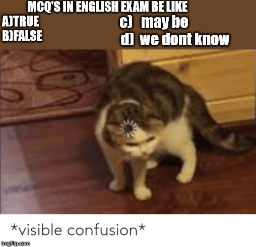 visible confusion | MCQ'S IN ENGLISH EXAM BE LIKE
A)TRUE
B)FALSE; c)   may be
               d)  we dont know | image tagged in visible confusion | made w/ Imgflip meme maker