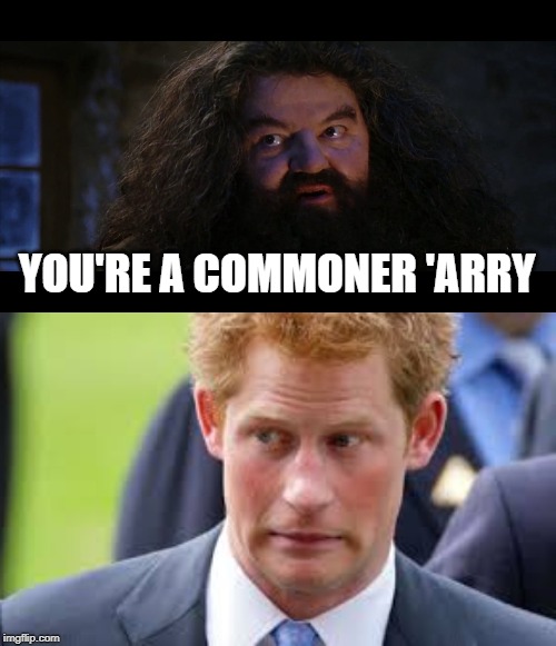 good riddance! | YOU'RE A COMMONER 'ARRY | image tagged in harry and meghan,royal family | made w/ Imgflip meme maker