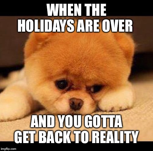 sad dog | WHEN THE HOLIDAYS ARE OVER; AND YOU GOTTA GET BACK TO REALITY | image tagged in sad dog | made w/ Imgflip meme maker
