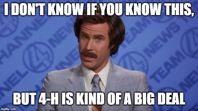 I DON'T KNOW IF YOU KNOW THIS, BUT 4-H IS KIND OF A BIG DEAL | made w/ Imgflip meme maker