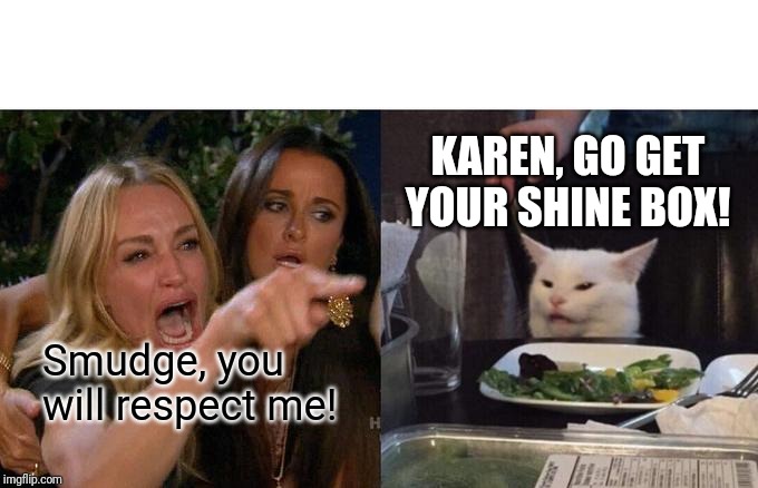 Woman Yelling At Cat | KAREN, GO GET YOUR SHINE BOX! Smudge, you will respect me! | image tagged in memes,woman yelling at cat | made w/ Imgflip meme maker