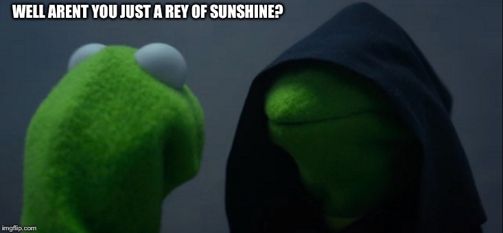 Evil Kermit Meme | WELL ARENT YOU JUST A REY OF SUNSHINE? | image tagged in memes,evil kermit | made w/ Imgflip meme maker