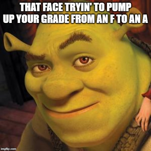 Shrek Sexy Face | THAT FACE TRYIN' TO PUMP UP YOUR GRADE FROM AN F TO AN A | image tagged in shrek sexy face | made w/ Imgflip meme maker