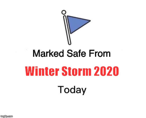 Marked Safe From | Winter Storm 2020 | image tagged in memes,marked safe from | made w/ Imgflip meme maker