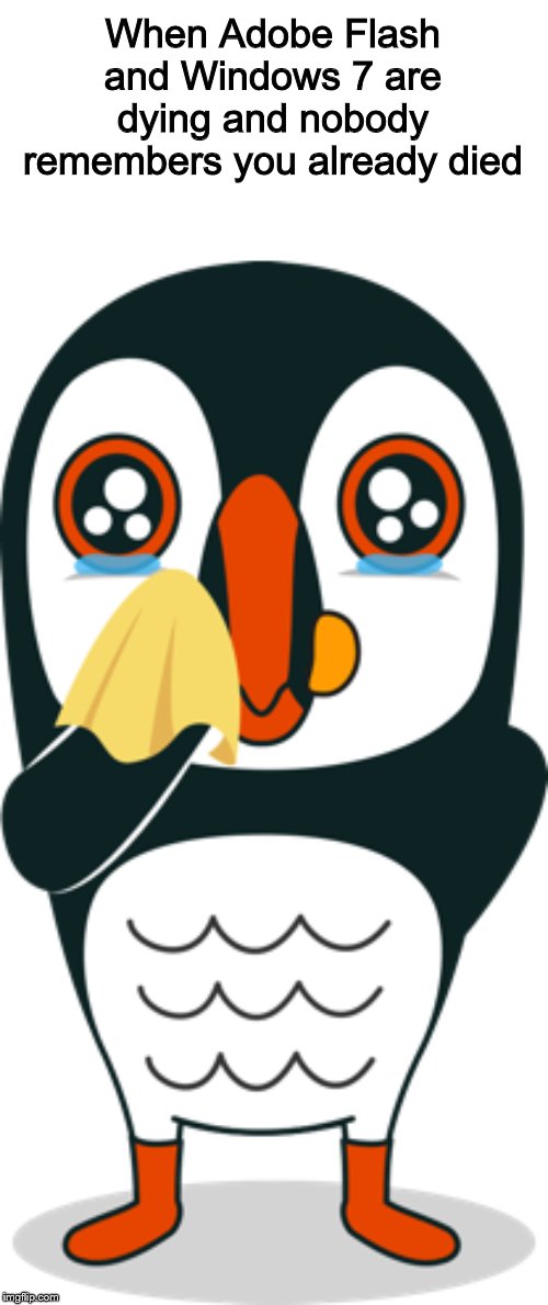 RIP Puffin Browser(on IOS) | When Adobe Flash and Windows 7 are dying and nobody remembers you already died | image tagged in rip,puffin browser | made w/ Imgflip meme maker